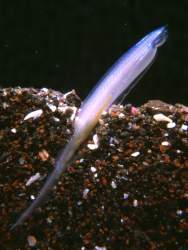 200746 B