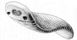 165883 B