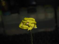 134402 B