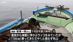 223871 B