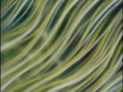 6843007 B