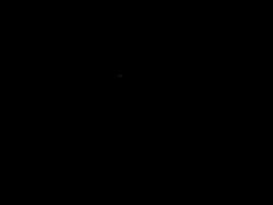 2055828 B