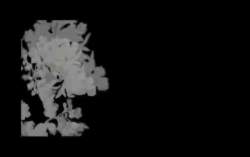 2065330 B