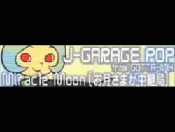 4850295 B