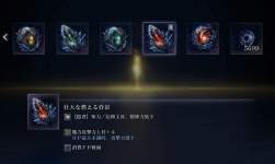 77981 B