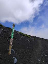 211806 B