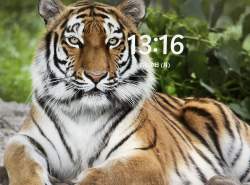 1257276 B