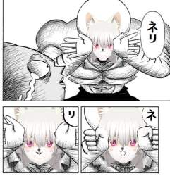 116096 B