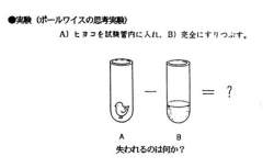 8928 B