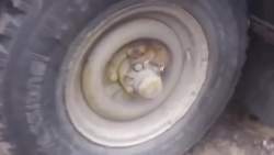 1720733 B