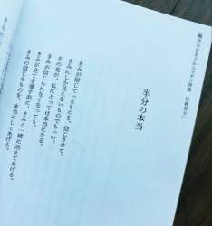 411233 B