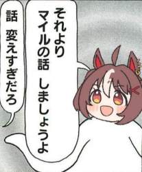 44588 B