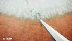 7673842 B