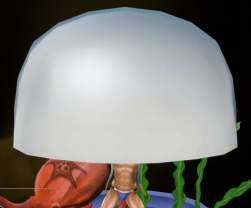 333303 B