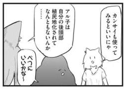 55897 B