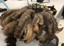 52623 B