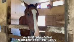 1117395 B