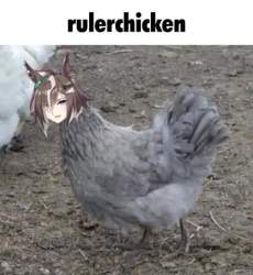 57466 B