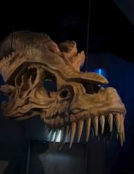 73089 B