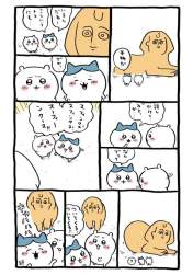 77869 B