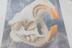 820483 B