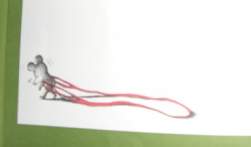 42505 B