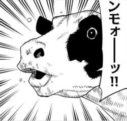 80708 B