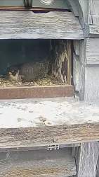 8039812 B
