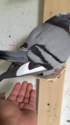 535873 B