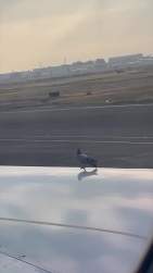 6633673 B