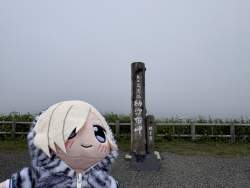 904181 B