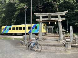 462361 B