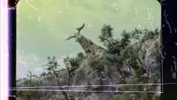 7723919 B
