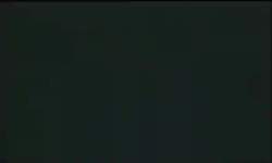 8185235 B