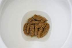 10479 B