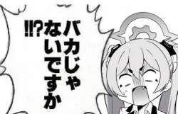 304224 B