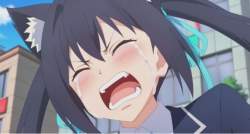 271274 B