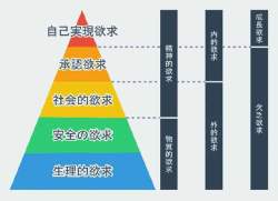 26539 B