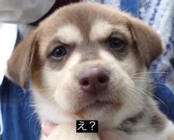 657926 B