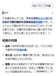 262544 B