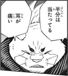 46985 B