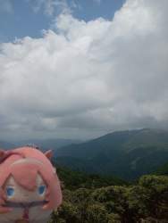 4534613 B