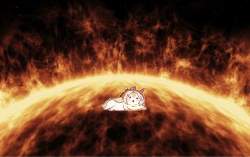 210905 B