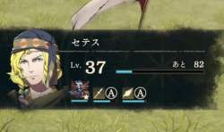 33376 B