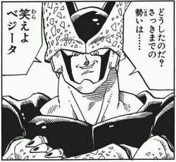 87146 B