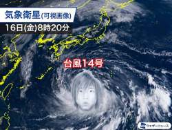 2276239 B