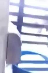 2967977 B