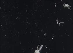 3663724 B