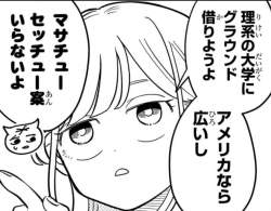 81063 B