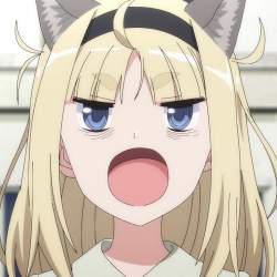 113467 B